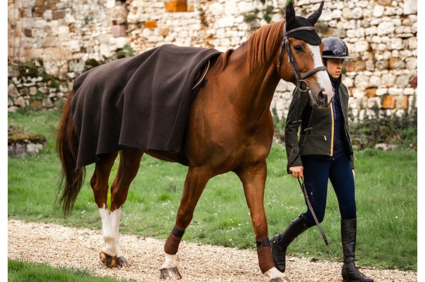Tacante, couvre reins en laine cheval tricoté en France