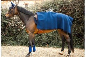 Tacante, carré de laine cheval  INFI-KNIT, bleu marine et bleu roi - couvre reins laine