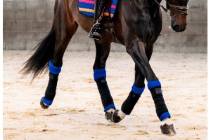 Tacante, flanelles INFI-KNIT 3D  dressage bleu roi