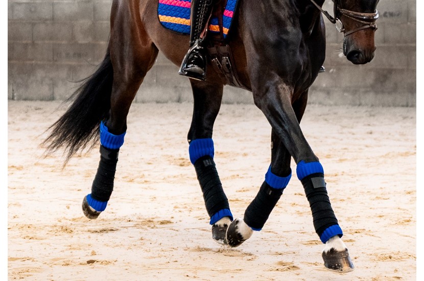 Tacante, flanelles INFI-KNIT 3D  dressage bleu roi
