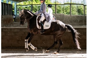 Tacante Tapis de selle INFI-KNIT 3D dressage