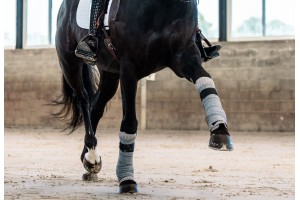 tacante flanelles INFI-KNIT 3D dressage nature
