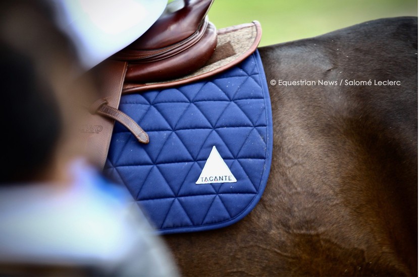 Tacante Tapis de selle EXCEL-ANSE mixte bleu marine écusson Valma