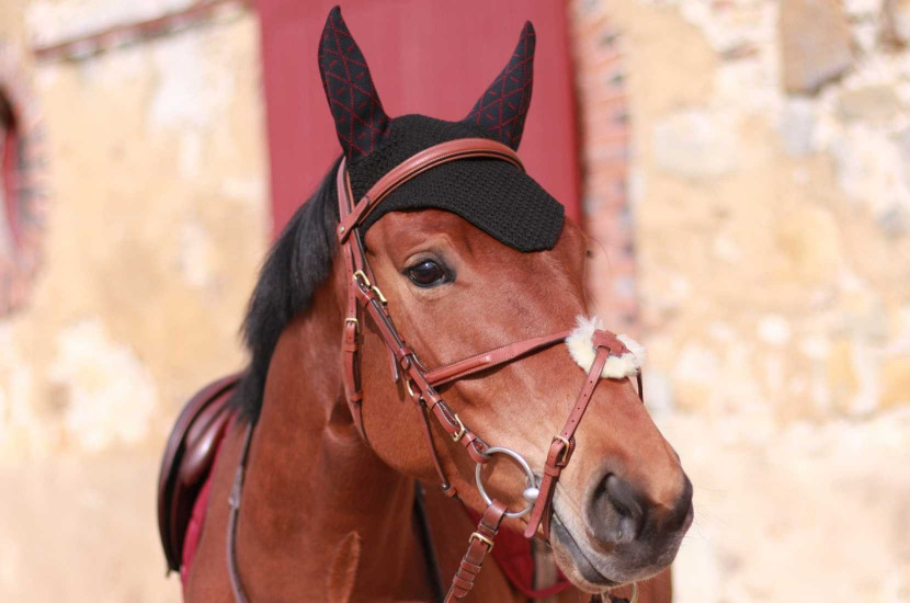 Tacante - bonnet INFI-KNIT noir All-Over bordeaux - cheval bai