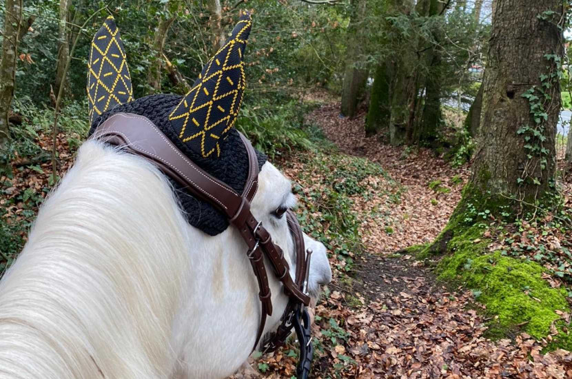 Tacante - bonnet INFI-KNIT noir All-Over jaune - porté cheval blanc - vue de derrière