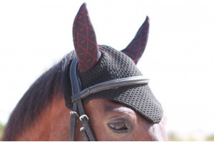 Tacante - bonnet INFI-KNIT noir All-Over bordeaux porté cheval bai