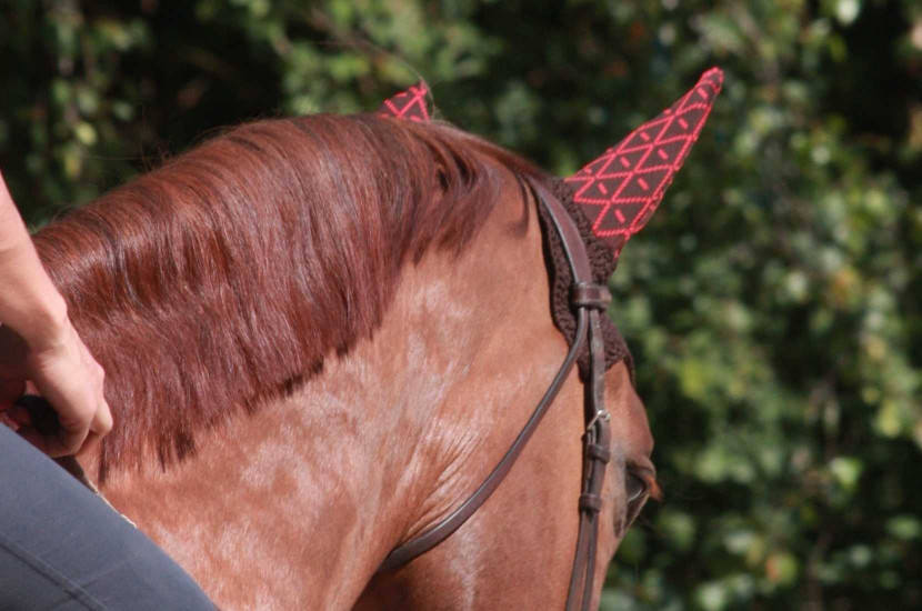 Tacante - bonnet cheval INFI-KNIT marron All-Over rouge - porté