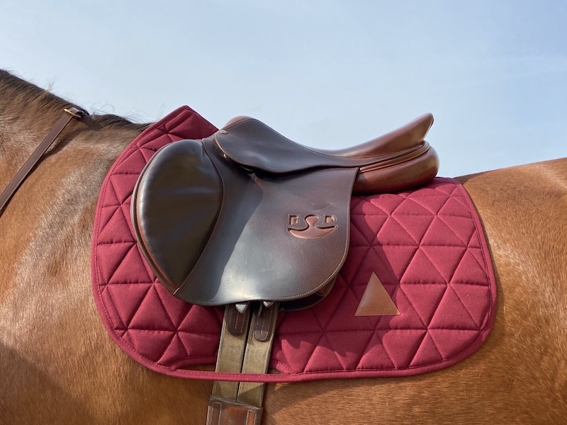 burgundy saddle pad tacante