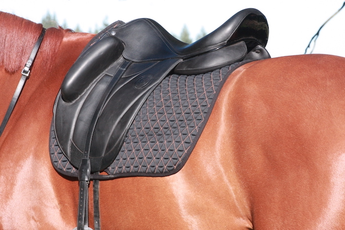 tacante dressage cut black and brown