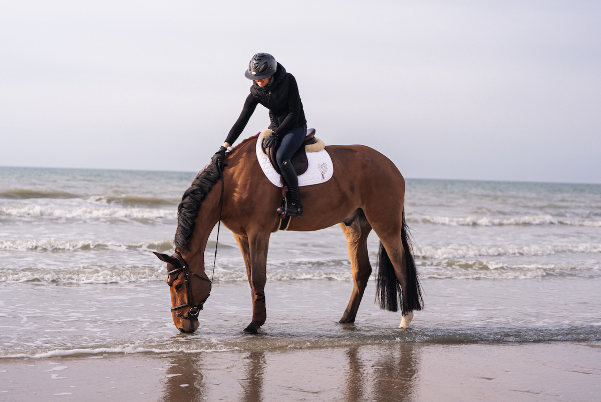 Collection LOVE HEART 2026