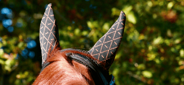 Environmentally friendly made in France INFI-KNIT ear nets for horses