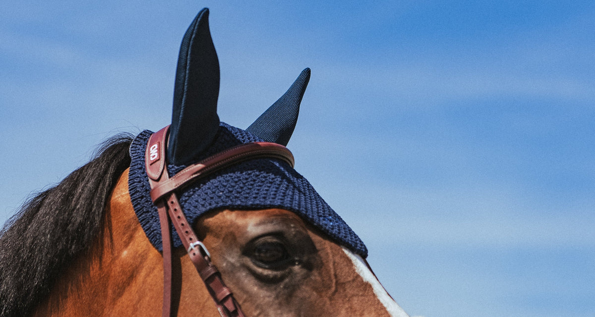 Bonnets