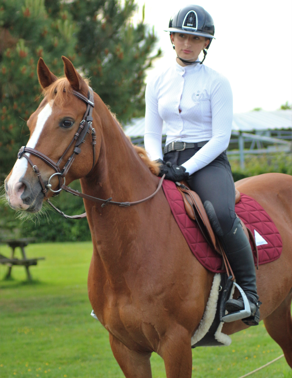 EXCEL-ANSE General Purpose Saddle Pad - Burgundy