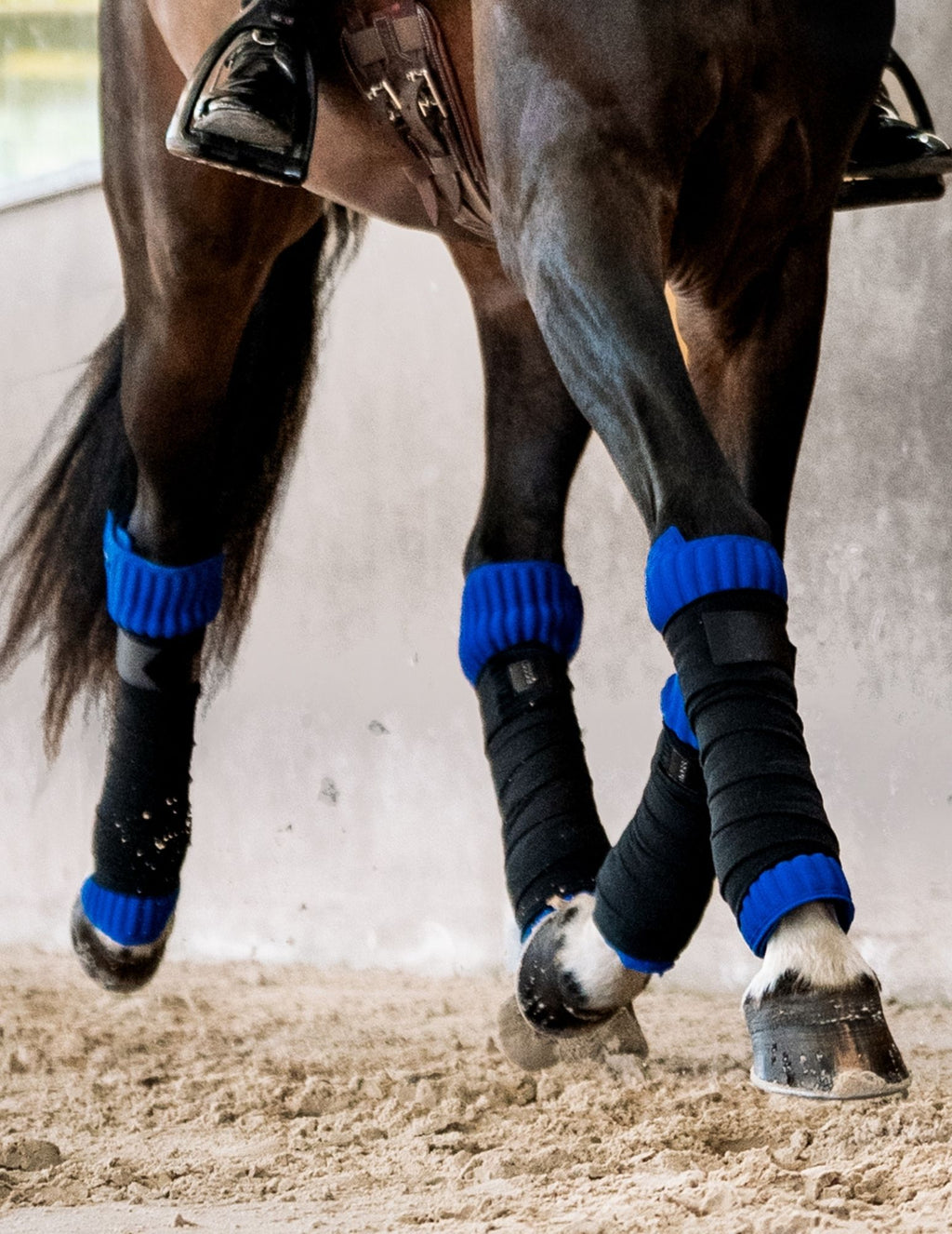 Flanelles, sous-bandes INFI-KNIT bleu roi