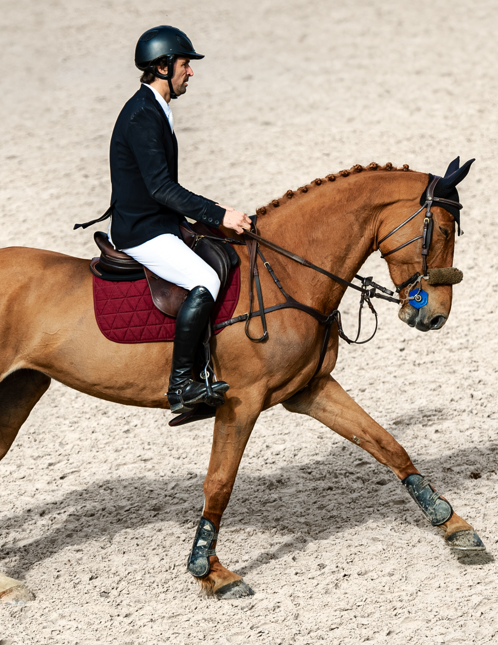 EXCEL-ANSE General Purpose Saddle Pad - Burgundy