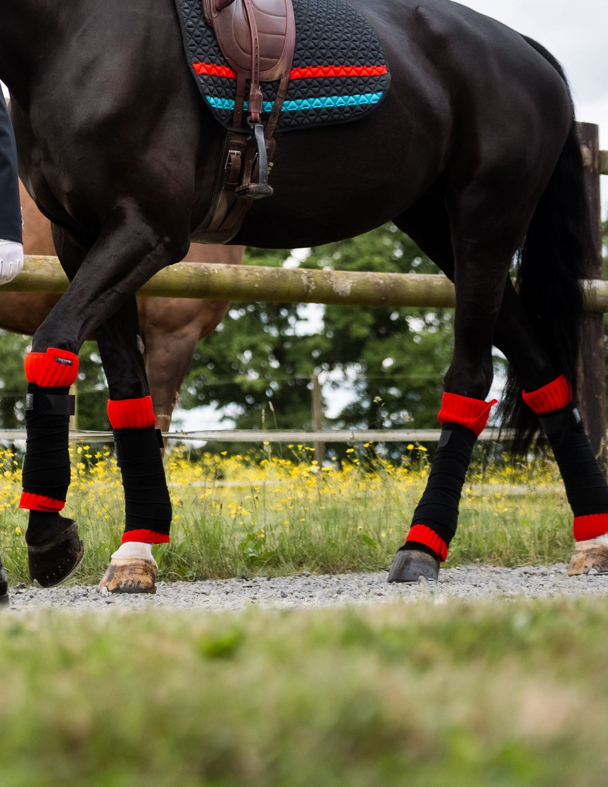 Flanelles, sous-bandes INFI-KNIT rouge