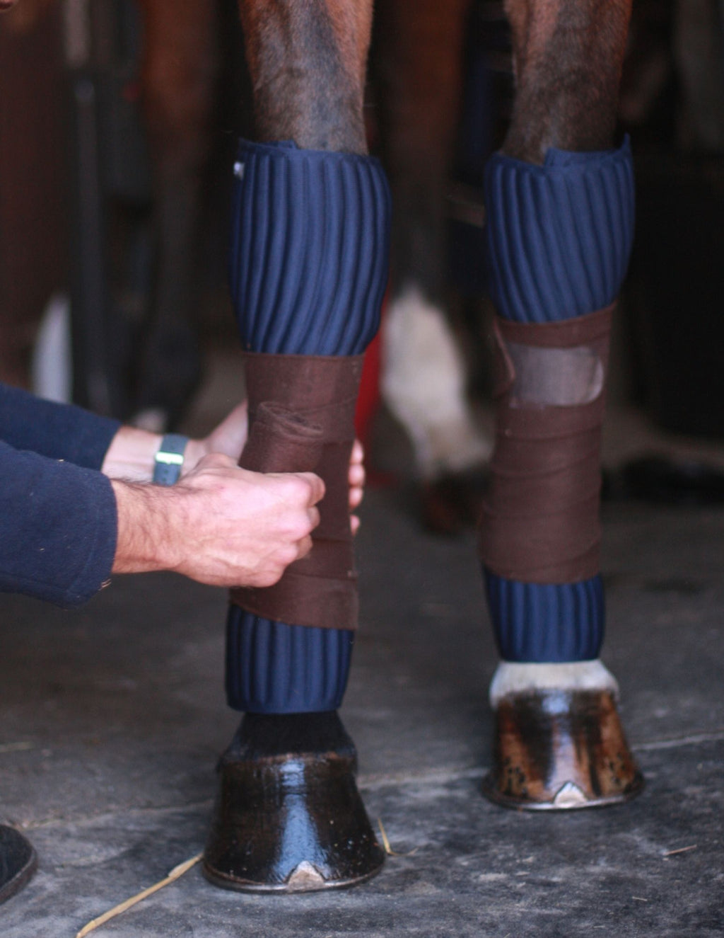 Flanelles, sous-bandes INFI-KNIT bleu marine