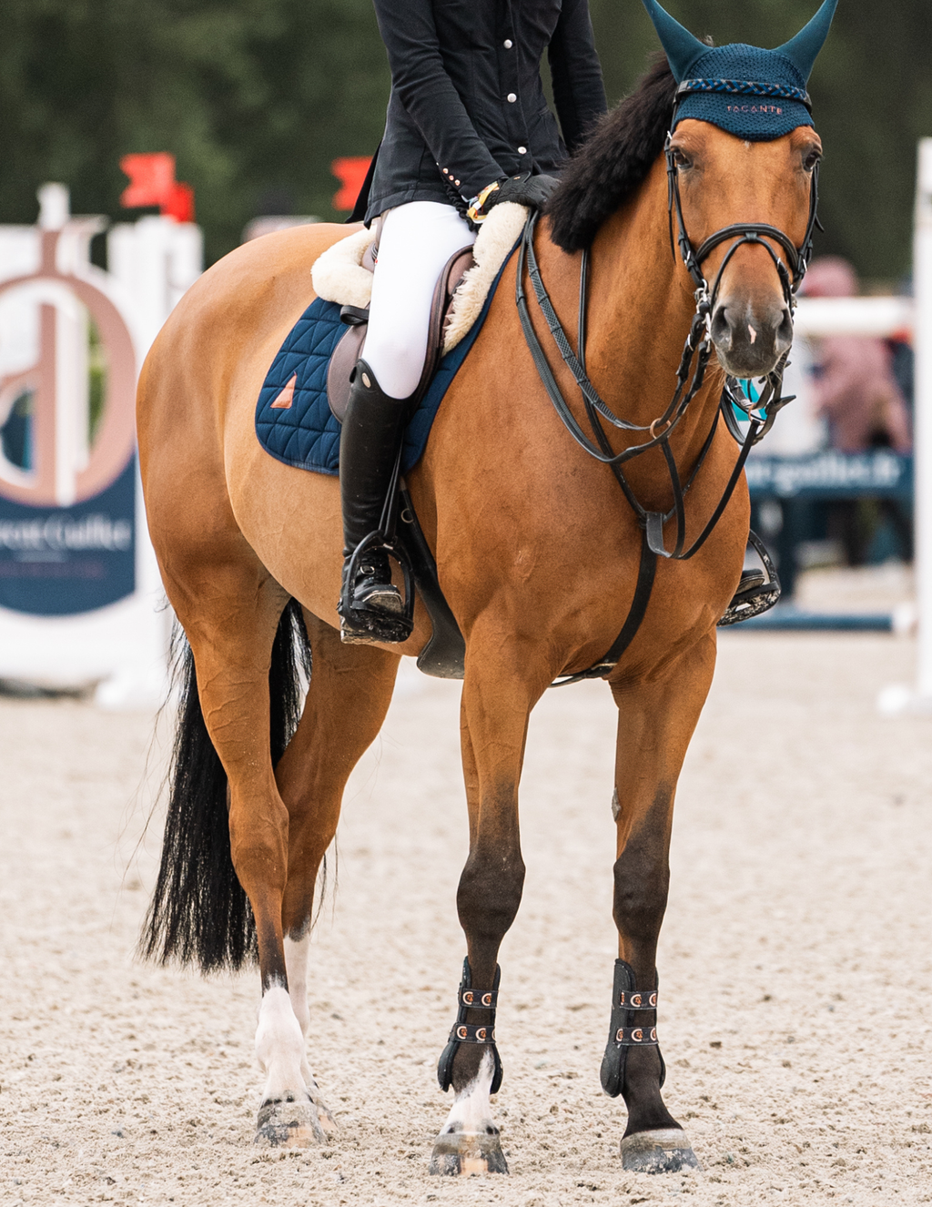 general purpose EXCEL-ANSE saddle pad navy blue