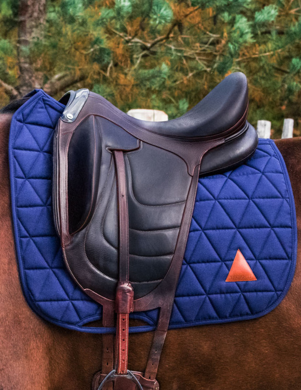 Tapis de selle EXCEL-ANSE dressage bleu marine