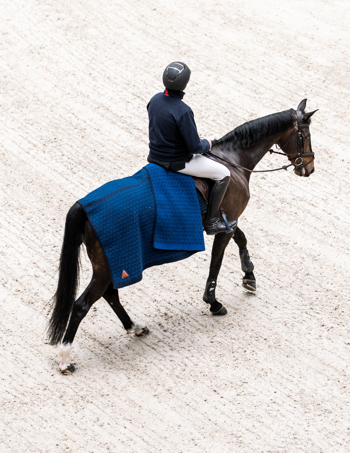 Carré de Laine cheval INFI-KNIT Bleu marine et bleu roi
