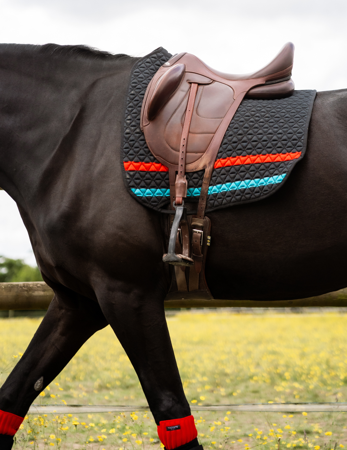 Tapis de selle INFI-KNIT dressage Fluo Noir