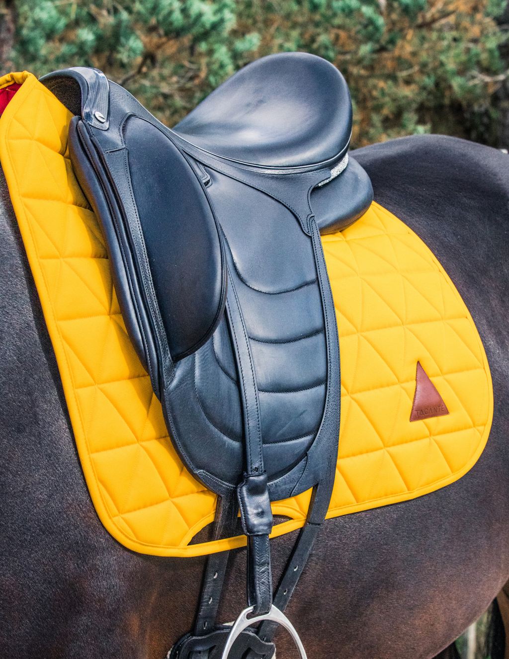 Tapis de selle EXCEL-ANSE dressage jaune d'or