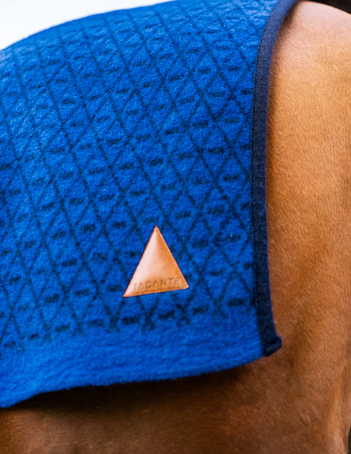Carré de Laine cheval INFI-KNIT Bleu marine et bleu roi