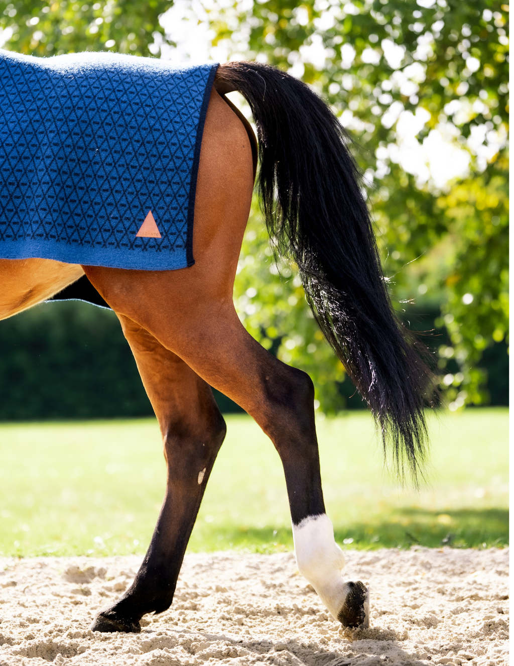 INFI-KNIT Horse Quarter Rug Navy and Royal Blue