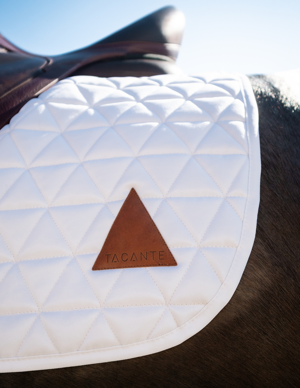 dressage EXCEL-ANSE saddle pad white