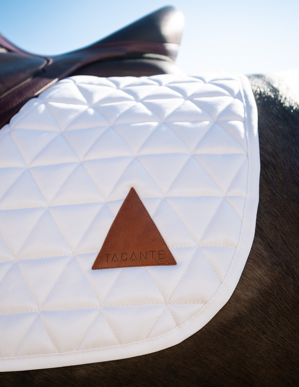 Tapis de selle EXCEL-ANSE dressage blanc