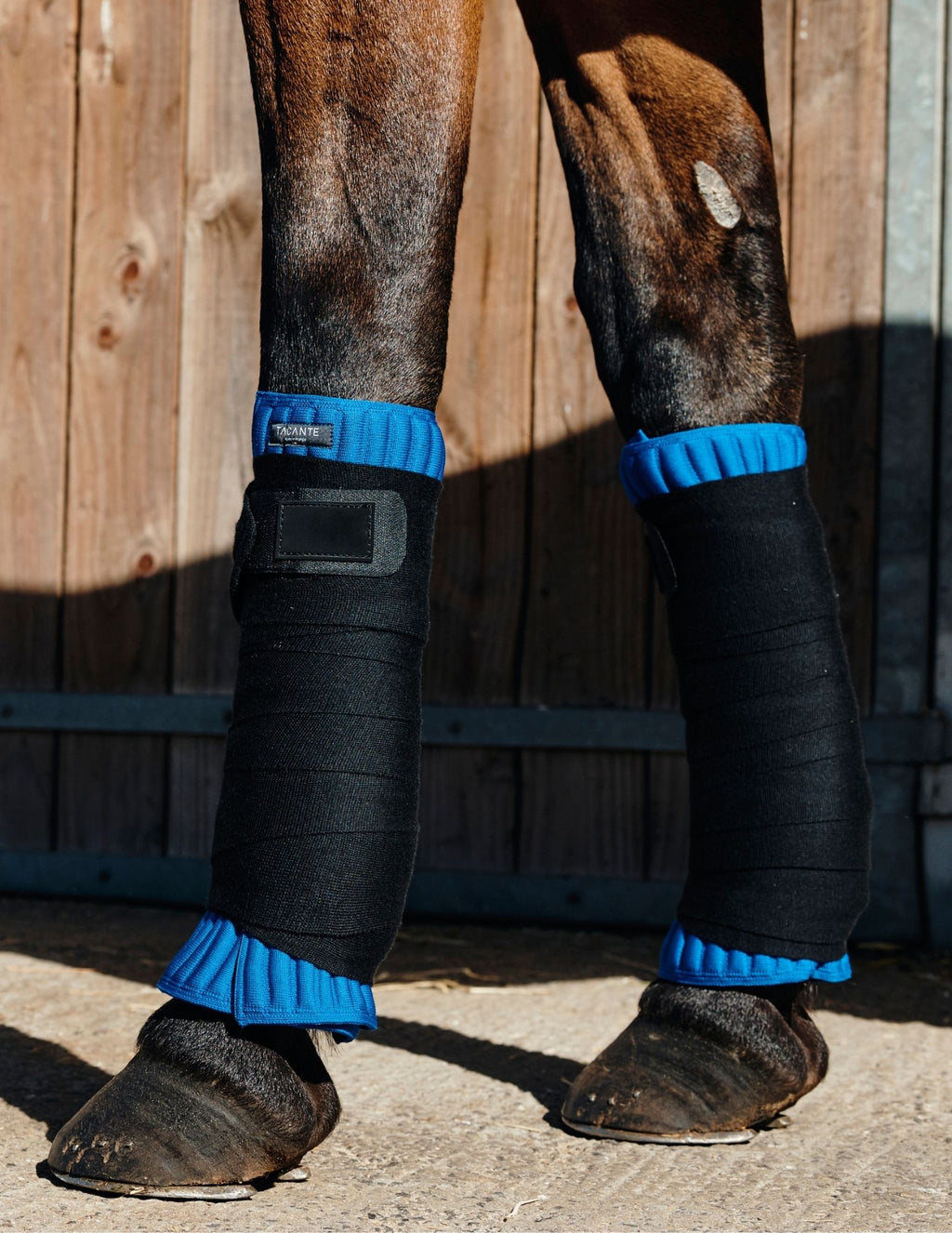 Flanelles, sous-bandes INFI-KNIT bleu roi