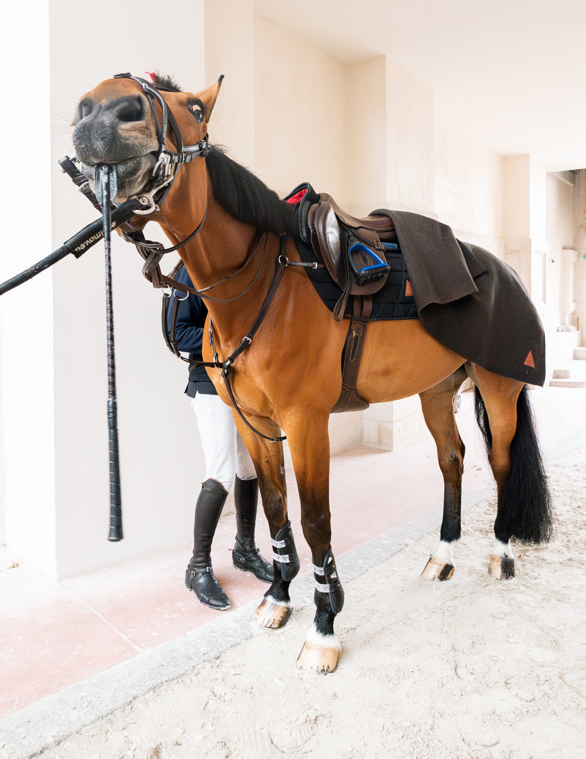 Carré de Laine cheval INFI-KNIT noir et caramel