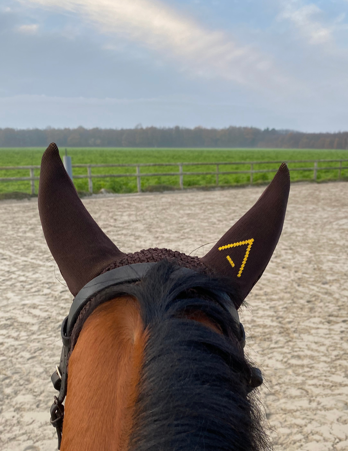 Bonnet INFI-KNIT marron A jaune