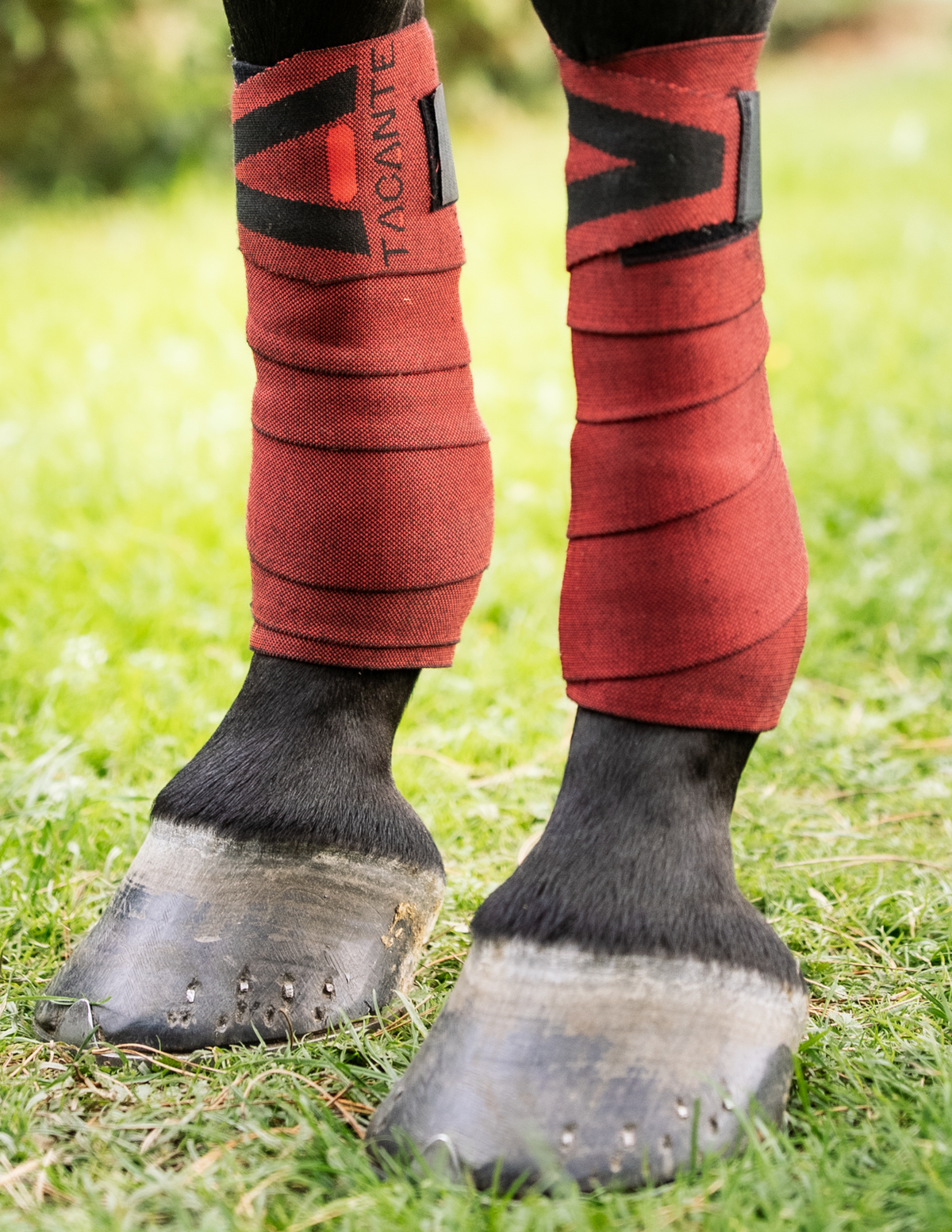 Bandes de travail INFI-KNIT Rouge et Noir