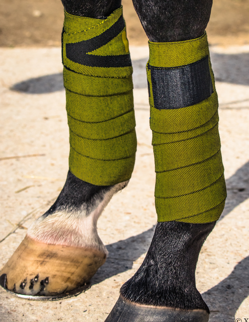 Bandes de travail INFI-KNIT Jaune et Noir