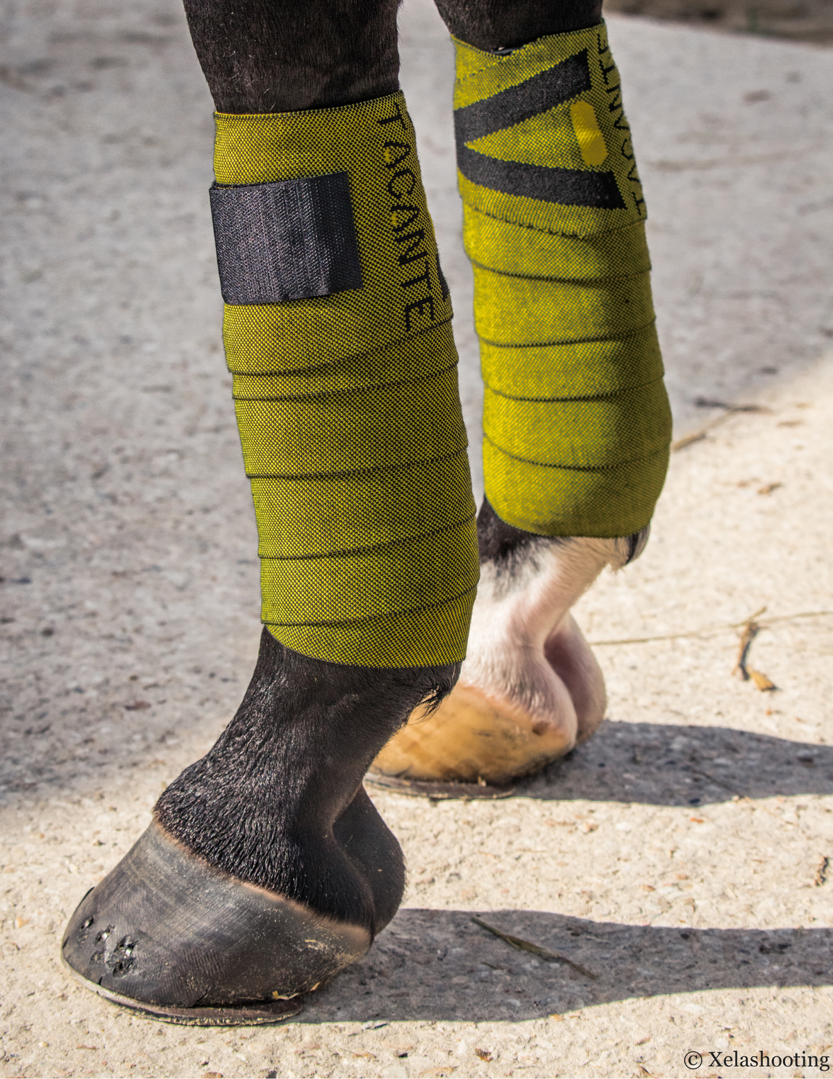 Bandes de travail INFI-KNIT Jaune et Noir