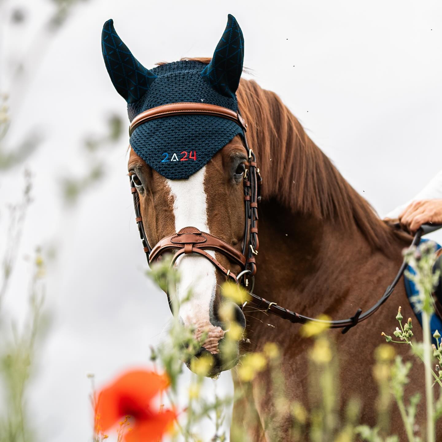 Nearly there…. 
📸 @hpalprod 
//
#tacante #serielimitee2024 #ridetoparis #equestrianstylz #earnet #bonnet #equestrianlife #madeinfrance #ecoresponsable