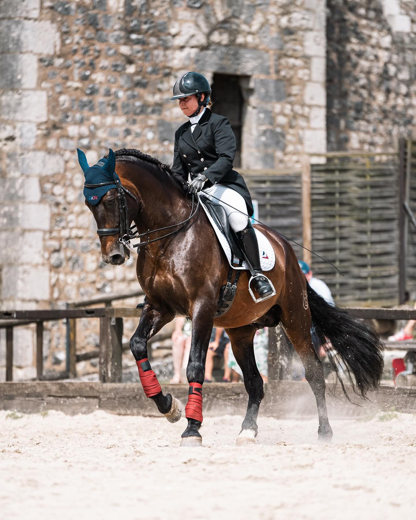 Ready for the show 🔥🇫🇷🔥
//
📸 @hpalprod @ecurie_mgd 
//
#dressage #equitation #provins #remparts #equitation2024 #riseroparis #madeinfrance #equestrianstyle #equestrianlife