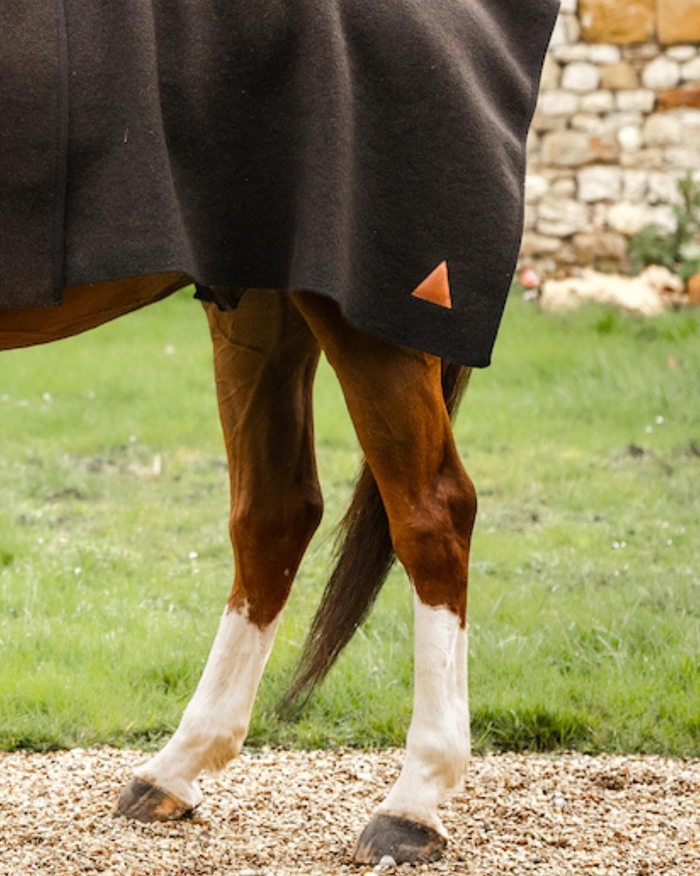 Une petite laine? 
//
#tacante #madeinfrance #ecoresponsable #laine #wool #carredelaine #couverture #couvrereins #horserugs #exerciserug #equestrianstyle #ecoresponsable♻️
