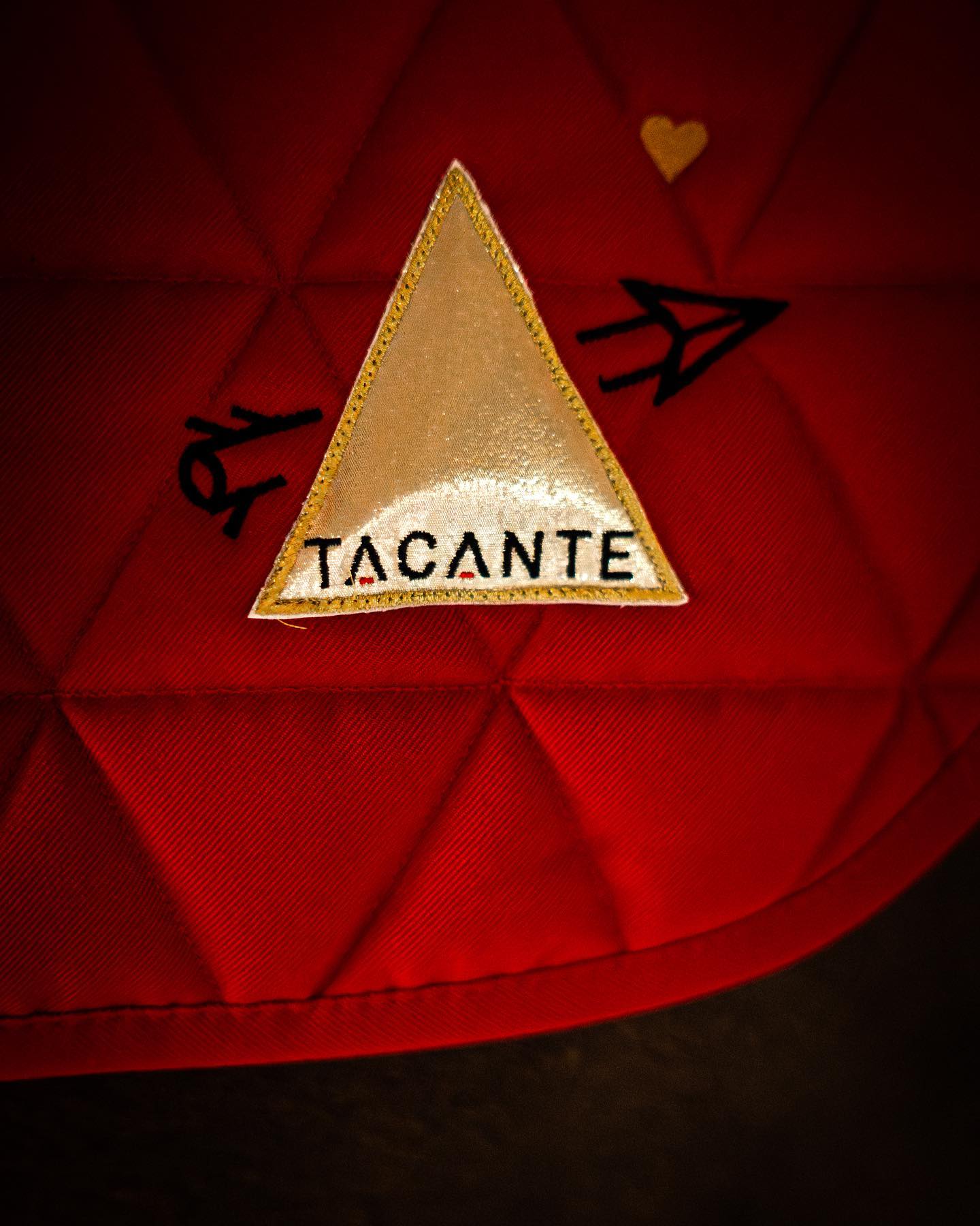 ROCK’N LOVE 2024 🎸💛❤️‍🔥
📸 @hpalprod 
//
#tacante #rocknlove #serielimitee #madeinfrance #broderie #equestrian #equestrianstyle #equestrainlife #sustainable #tapisdeselle #chabraque #numnah #saddlepad