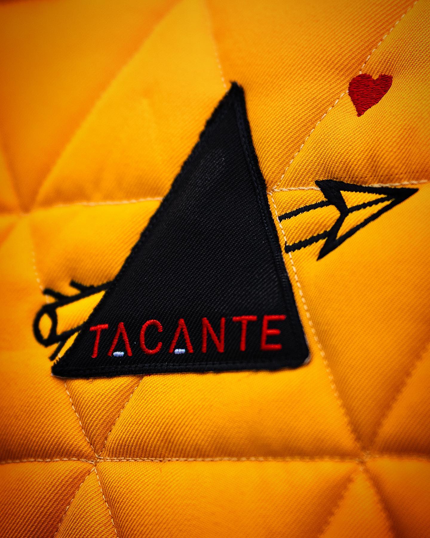 Rock’n Love limited edition 🎸❤️‍🔥🖤💛
📸 @hpalprod 
//
#tacante #tacantefamily #sustainable #madeinfrance #tapisdeselle #ecofriendly #equestrianstyle #equestrianlife  #yellow #rock