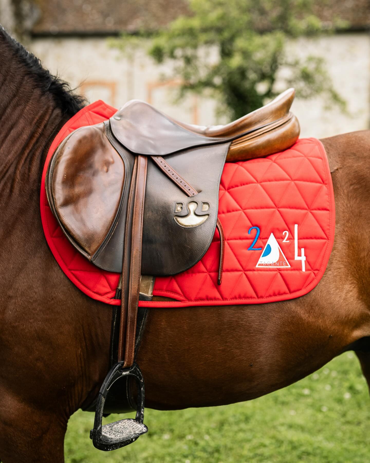 2024… a year to remember 
📸 @hpalprod 
//
#tapisdeselle #madeinfrance #ecoresponsable #sustainable #saddlepad #rideto2024 #earnet #bonnetcheval #editionlimitee #equitation #equestrianstyle #equestrianlife