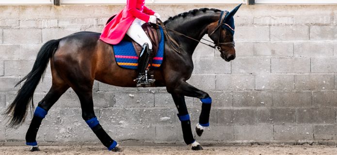 Les "dressages"